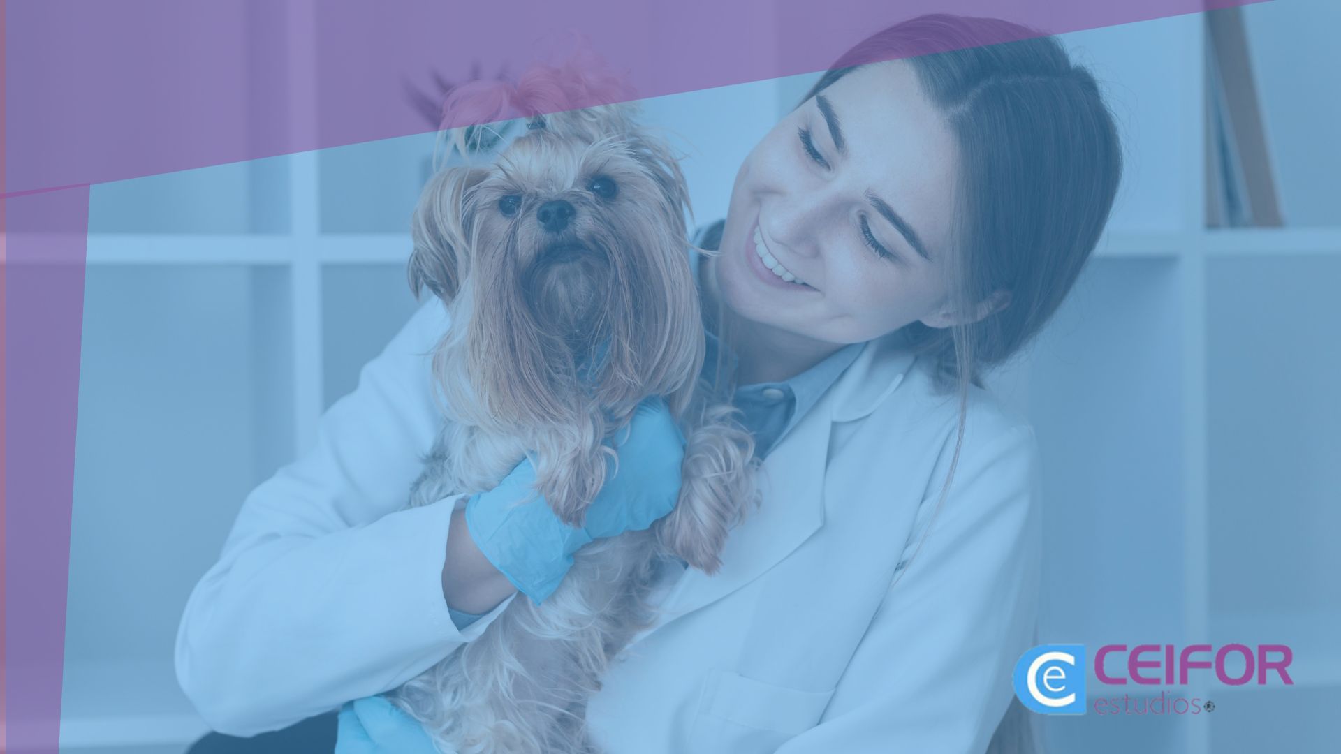 Psicología Canina y Felina